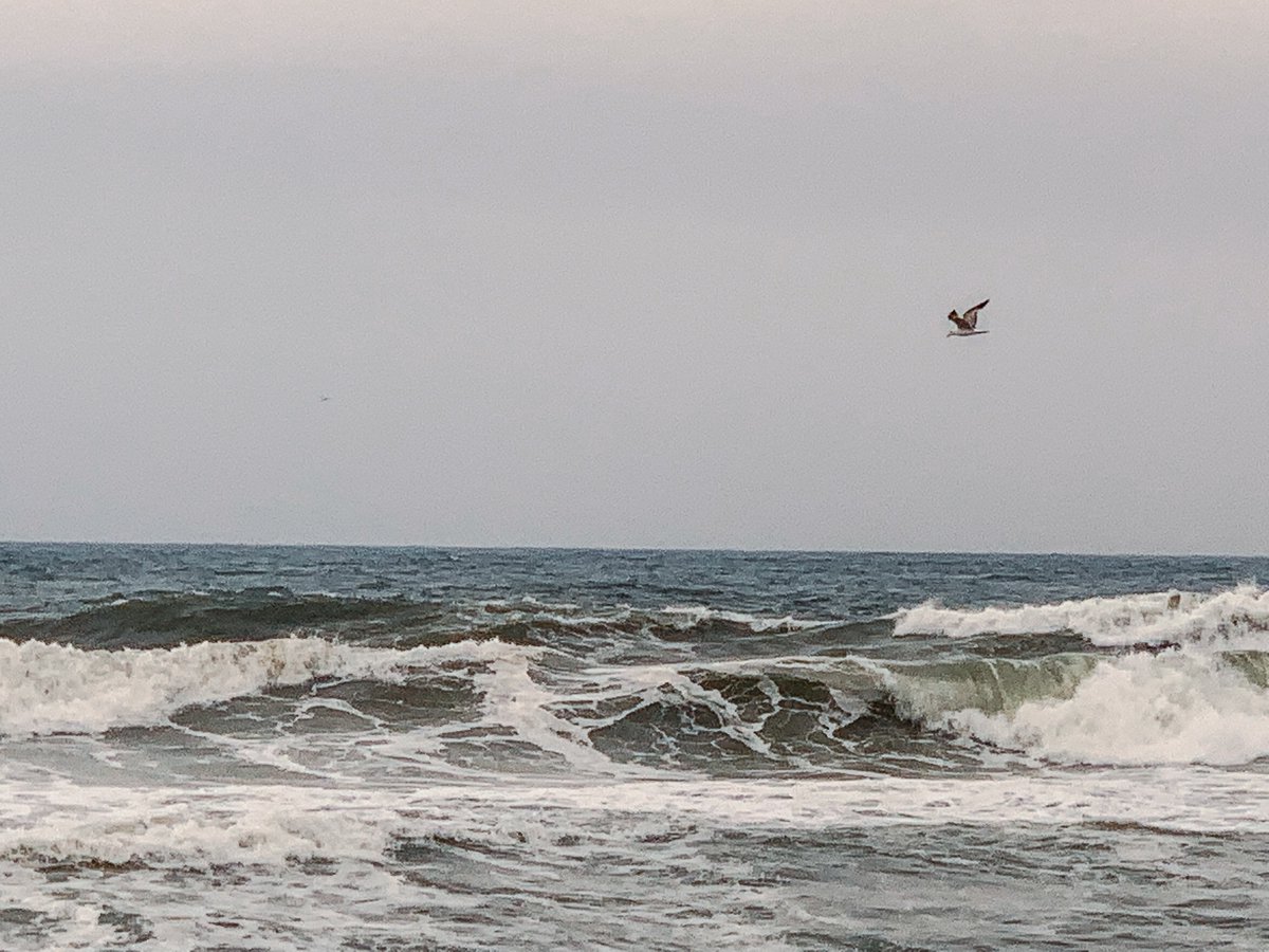 gk3000's tweet photo. Lunch
2019
#FineArtPhotography
#PhotographyPrints
#LimitedEditionPrint
#FineArtPrints
#PhotographyCollector
#ArtPhotography
#GalleryPrints
#MuseumQualityPrint
#PhotographyLover
#BuyArtOnline
#barcelona #catalonia #beach #sea #seagull #moody #melancholy #grimphoto #darkphoto https://t.co/mynmdrzGWd