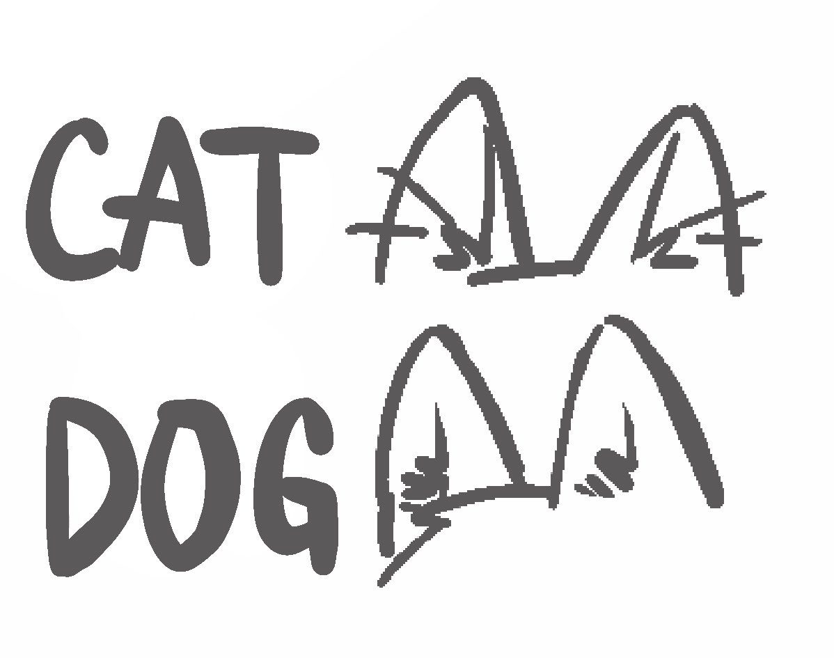 coolestghostrii's tweet image. 