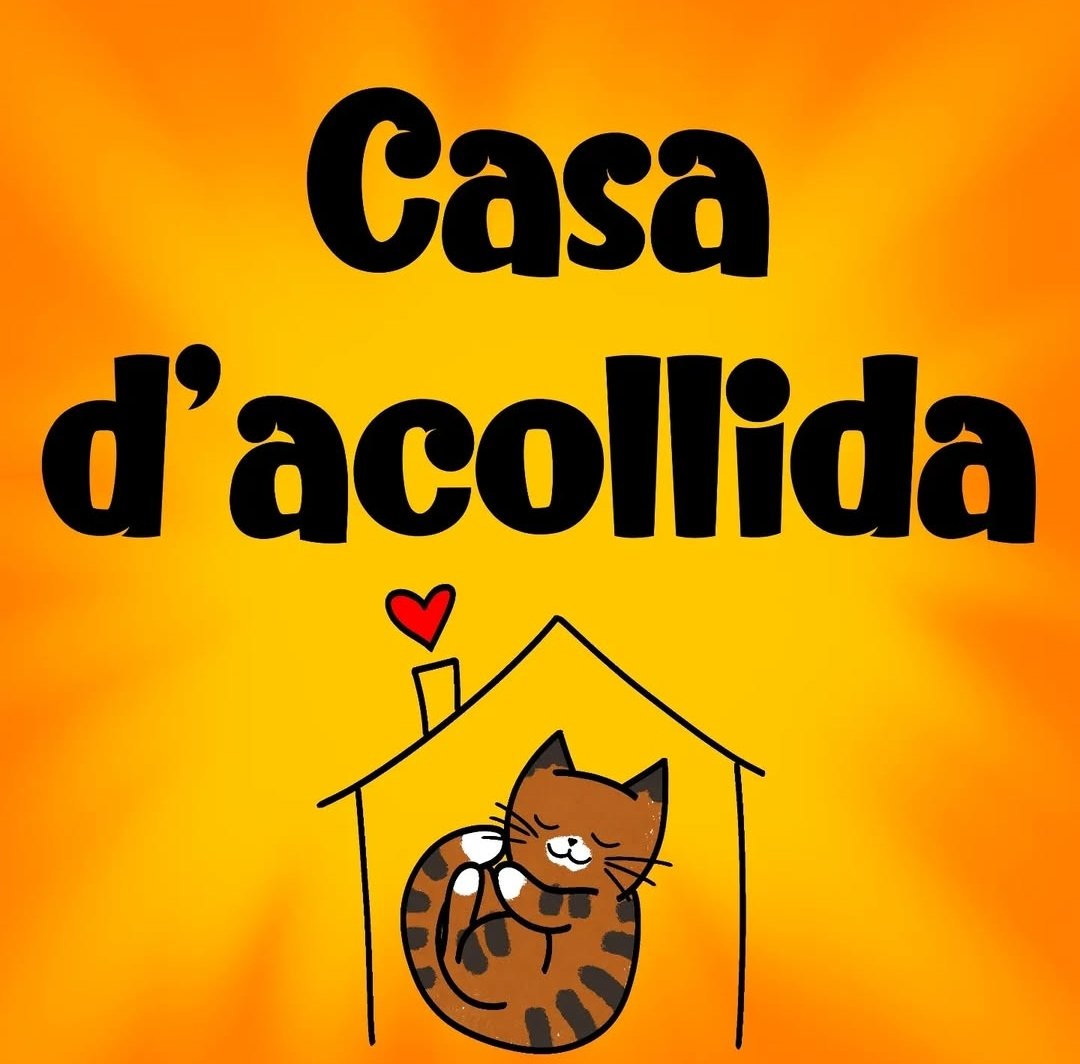 Ja han començat les vacances d'estiu i, per tant, ha començat l'època dels abandonaments i nosaltres ja tenim totes les cases d'acollida plenes de cries. 
Busquem cases d'acollida properes a Amer disposades a cuidar dels peluts fins trobar adopció.
Contacta amb nosaltres!
❤️🔄