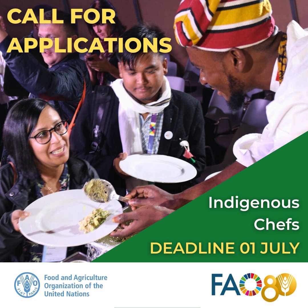 Are you an Indigenous Chef working with Indigenous Peoples' culinary traditions and innovations? Are you keen to share your experience and food with an international audience? Contribute to the 2025 meeting of the Global-Hub!

Apply by the 1 July!
🔗tinyurl.com/3tpmxzh4