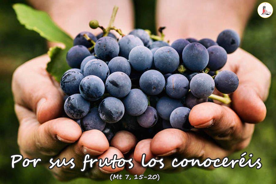 📜 «Por sus frutos los conoceréis.» (Mt 7, 15-20) 
🕯️📖 #EvangelioDiario