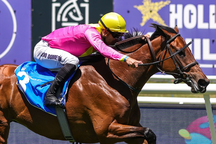 Turf Talk (@turftalk1) on Twitter photo Female Team Lands The Draw The Assistant Trainer Wanted turftalk.co.za/female-team-la… Female Team Lands The Draw The Assistant Trainer Wanted turftalk.co.za/female-team-la…