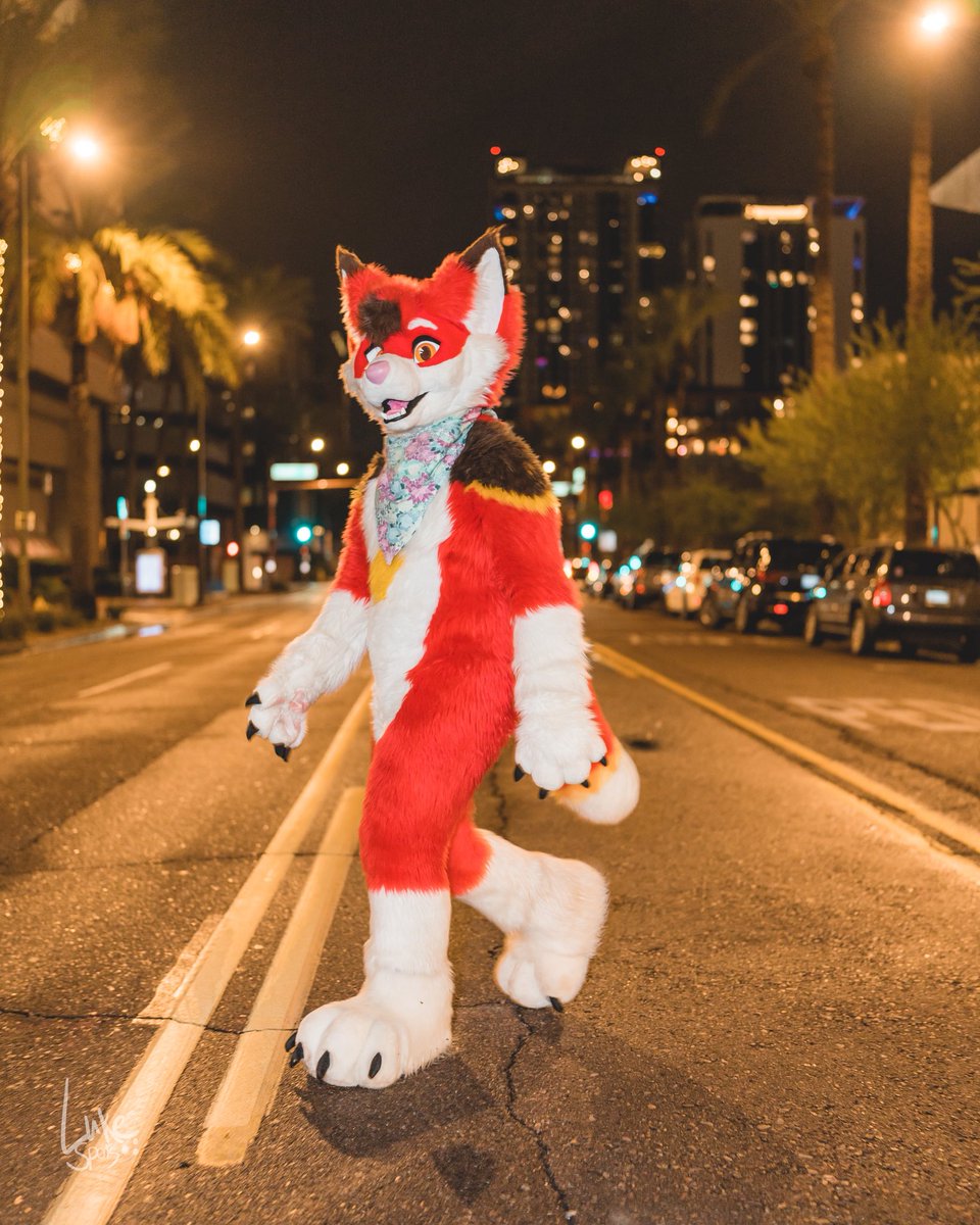 EchoFoxeh's tweet image. So… why did the foxxo cross the road? 🦊🐾

📸🩵: @luke_spots