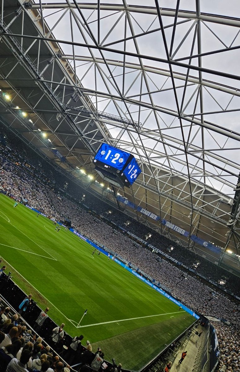 NiklasELV tweet media