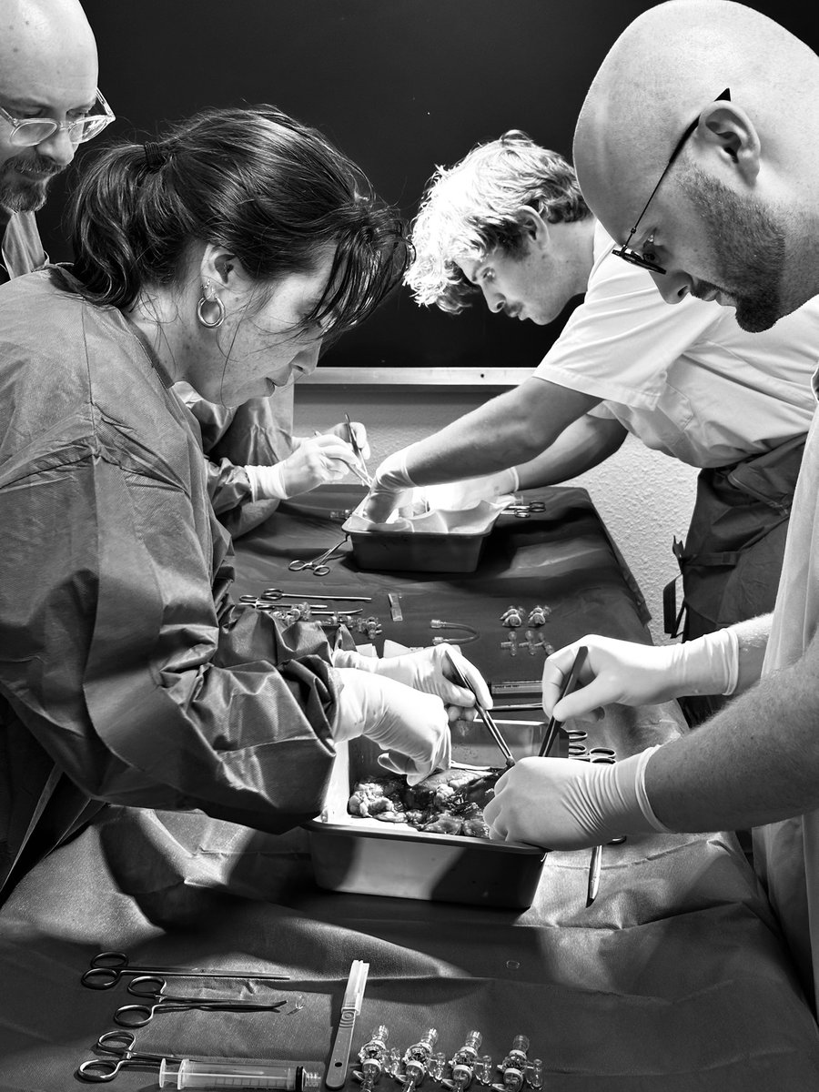 Xavier Tillou tweet media