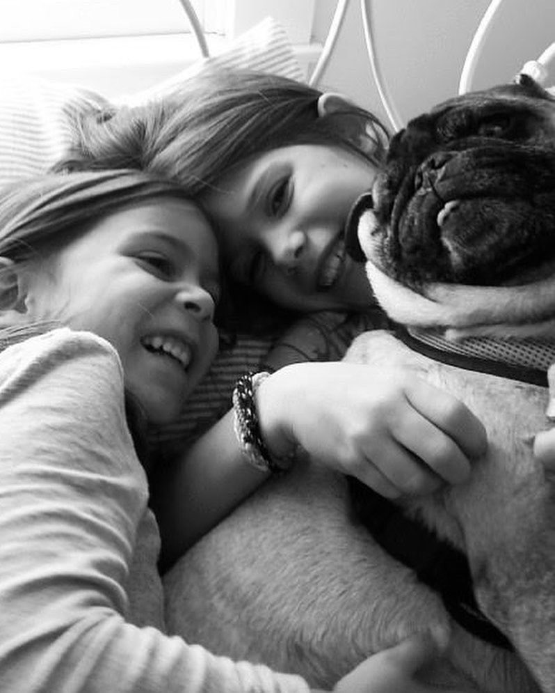 Kevin Brown tweet media