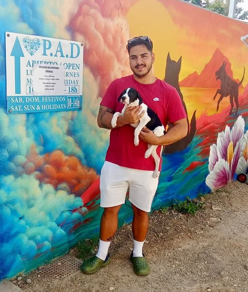 #FinalFeliz de / #foreverhome for
Marina

Si quieres que consigamos con más finales felices, hazte socio de PAD Mijas! A partir de 5€/mes 

If you want to contribute to more happy endings, become partner of PAD Mijas! From 5€/month
forms.gle/K8Y9GHcyNttbWN…