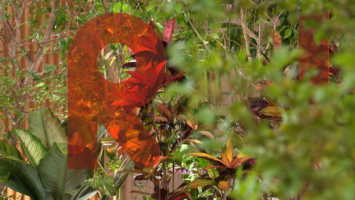 7RULES (セブンルール)【「THE RULES」3月30日(月)放送！(関西地区)】 tweet media