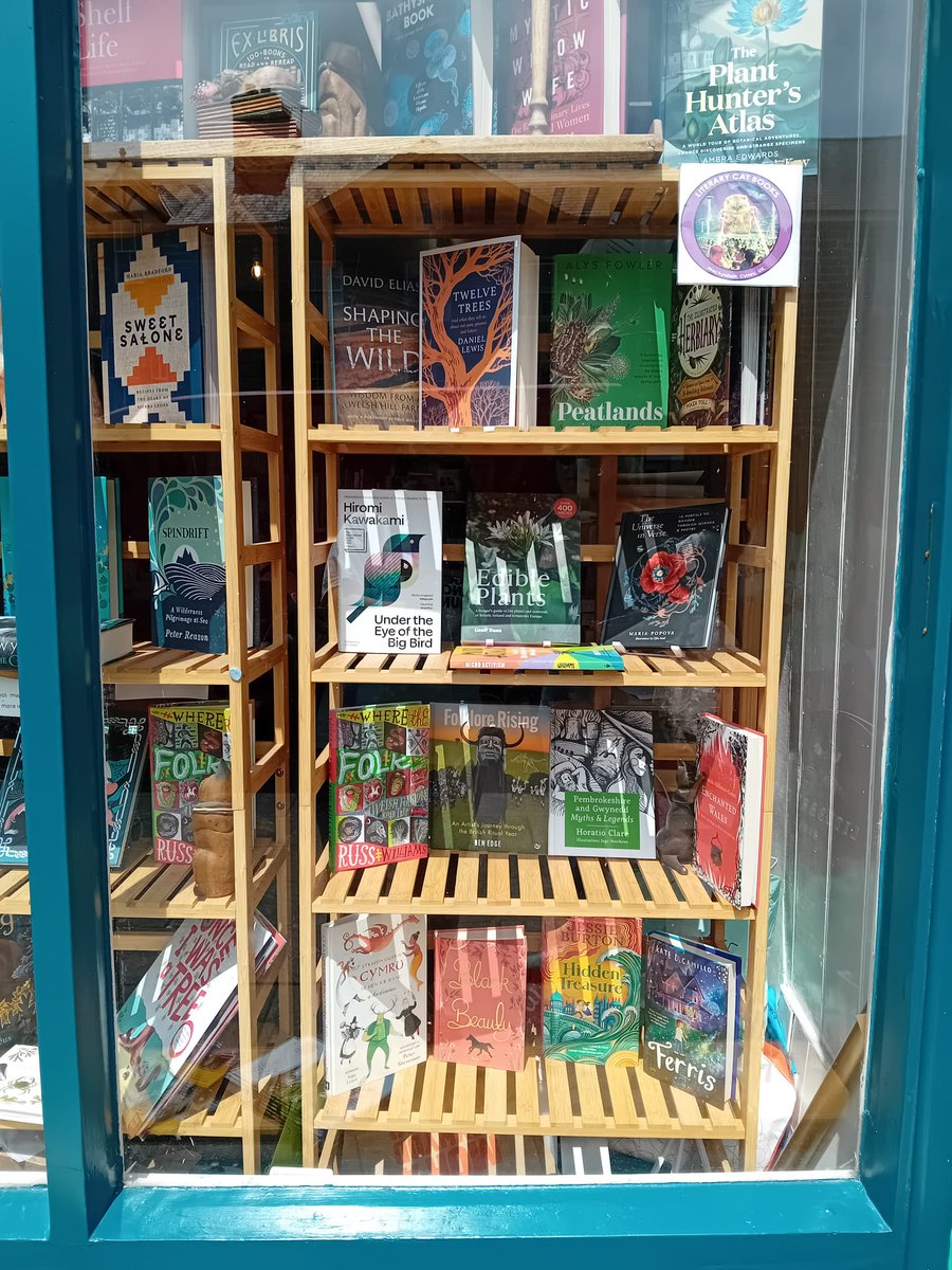 Spotted in the window at @literarycatbooks in Machynlleth 👊📚 #wherethefolk #shopwindow #supportlocal #supportindie