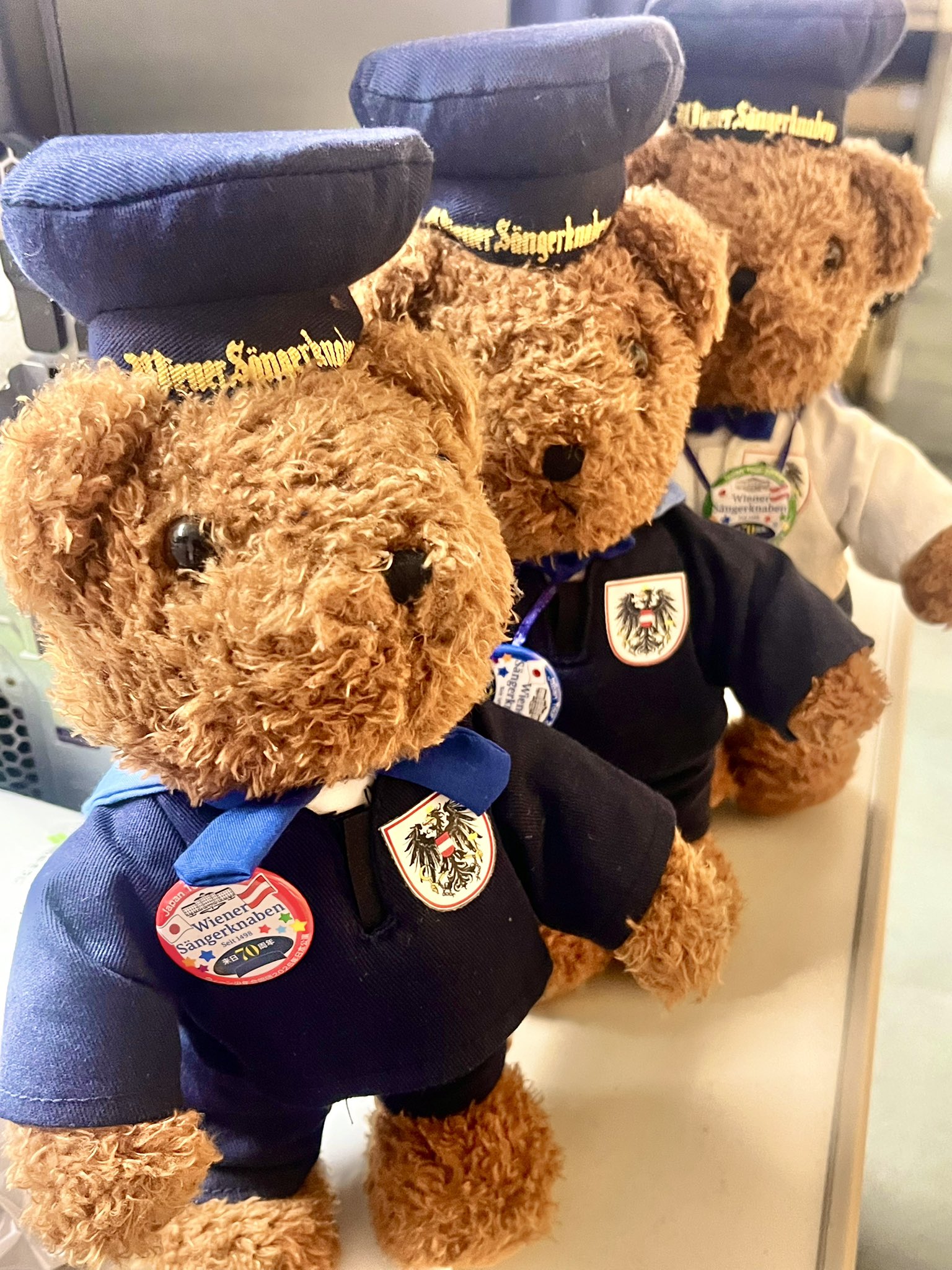 ウィーン少年合唱団コラボ シュタイフベア