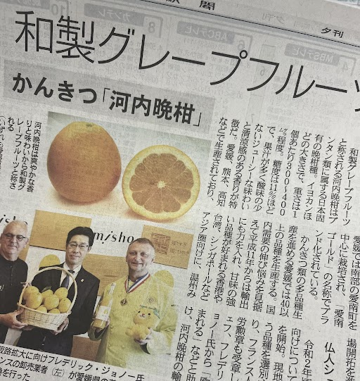 Sankei_O_hanbai's tweet photo. 夕刊🌇
🍊和製グレープフルーツ 欧州魅了🍊
1玉1000円 輸出量3倍愛媛
グレープフルーツのような黄金色のかんきつ「#河内晩柑」の人気が欧州で高まっている。
スイスを中心に「#misho」の名称で売り出したところ好評で、昨年度の輸出量は前年の約3倍に拡大した。 https://t.co/JJIJbSHUhp