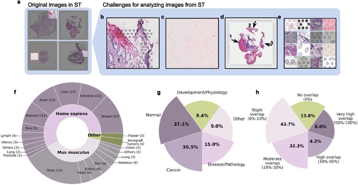 jsantoyo's tweet image. Vispro improves imaging analysis for Visium spatial transcriptomics.#SpatialTranscriptomics #Visium #ImageProcessing #Bioinformatics #Genomics @GenomeBiology
genomebiology.biomedcentral.com/articles/10.11…