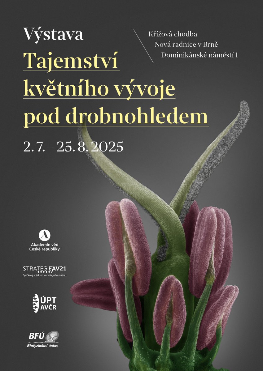 Akademie_ved_CR tweet picture