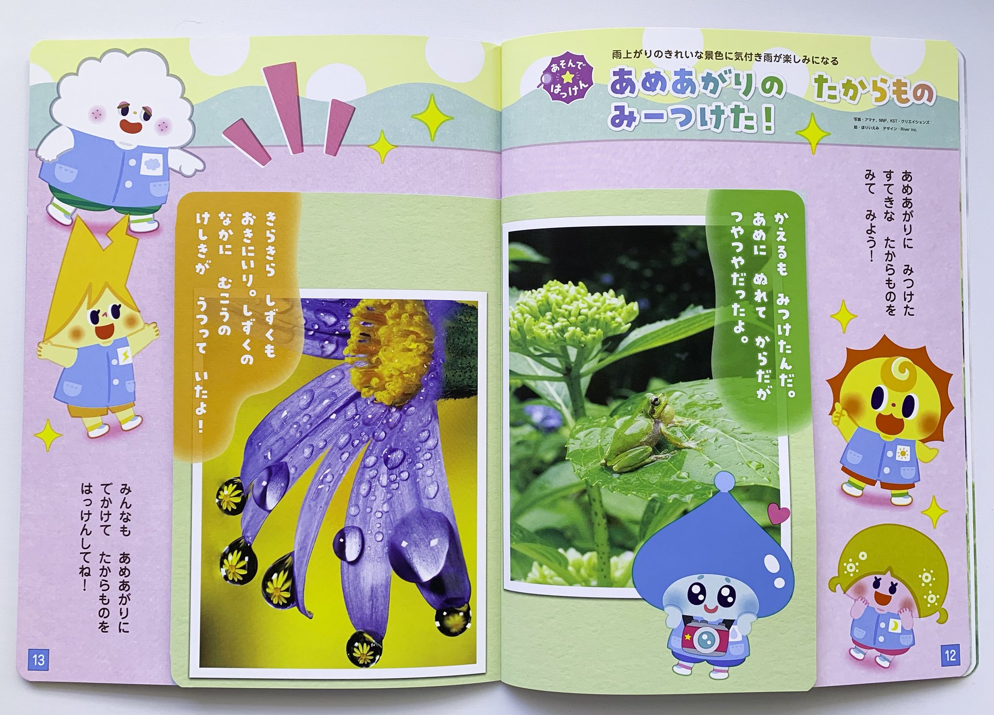 知育絵本 年中向け エースひかりのくに 12冊 絵本 幼稚園 月刊