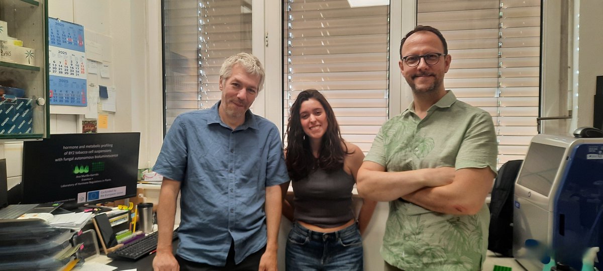 SAFA Huelva-Funcadia tweet media