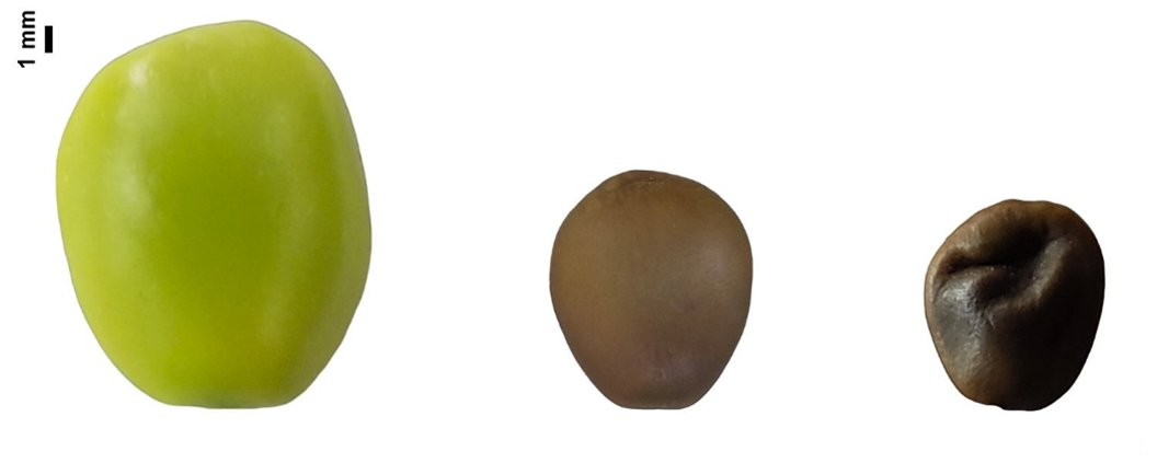 One Ecosystem tweet media