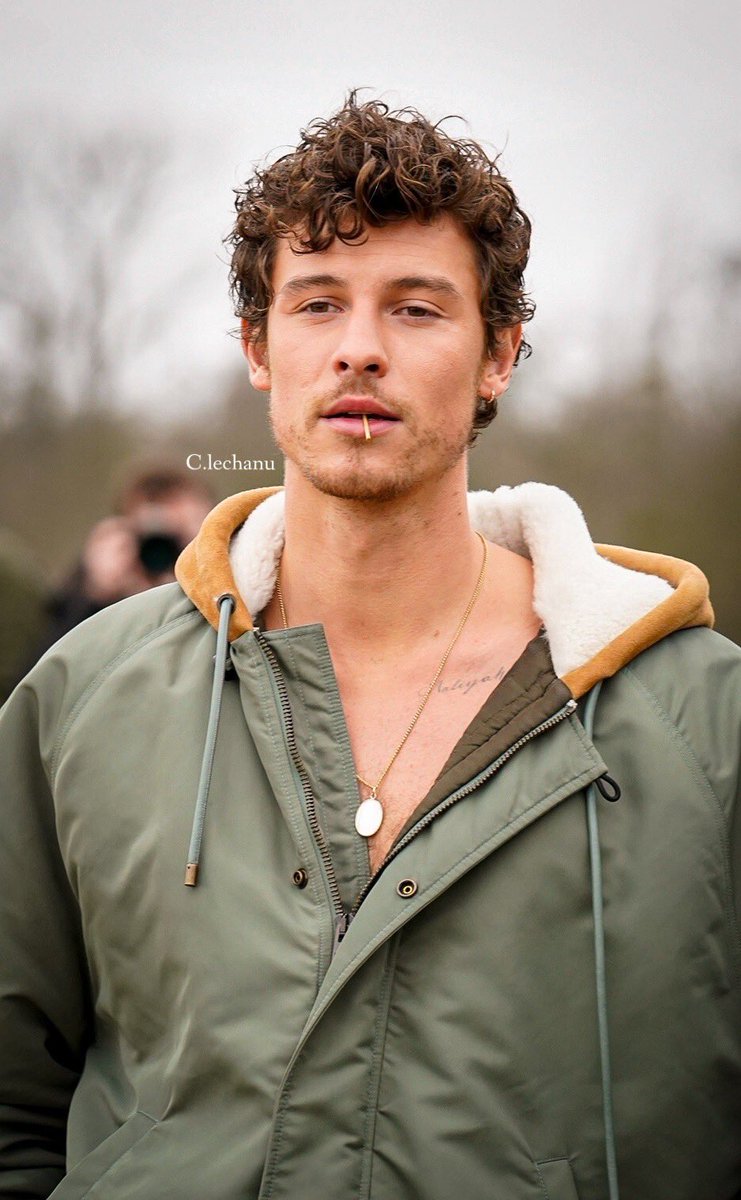 shawn mendes at paris fashion week