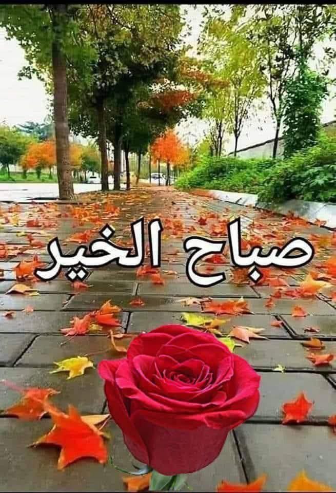 أسعد الله صباحكم بكل خير