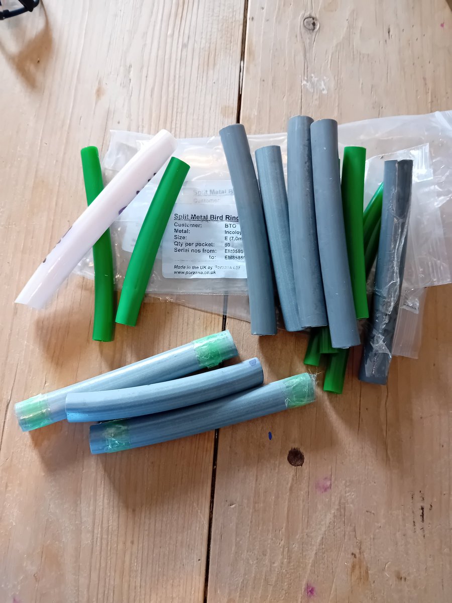 Graham Prole tweet media