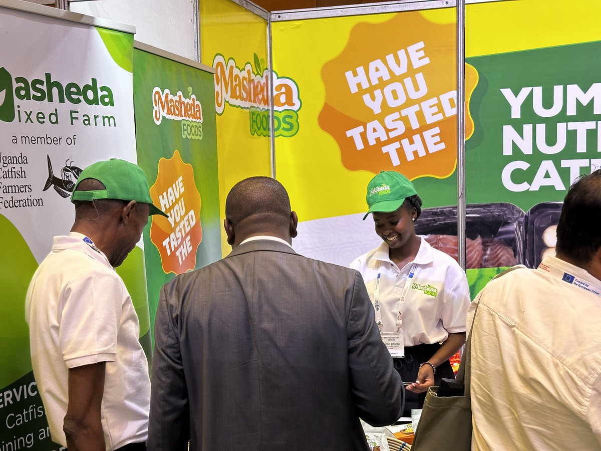 MashedaFoodsUg_'s tweet image. Visit Us at the World Aquaculture Safari 2025
Come by our booth to experience the the future of Catfish in Uganda. Join industry leaders, innovators, researchers and entrepreneurs as we explore the future of aquaculture and sustainable fish farming.
📍Speke Resort Munyonyo,…
