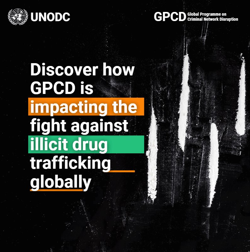 CRIMJUST_UNODC's tweet image. Tomorrow is #WorldDrugDay. 🗓️ The Global Programme on Criminal Network Disruption is committed to dismantling the org. criminal networks that fuel the illicit drug trade.Join us as we approach this crucial day to raise awareness & strengthen our resolve. unodc.org/unodc/gpcd/