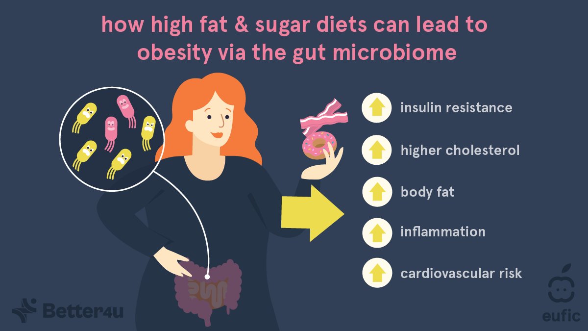🍭🍔 Your diet doesn’t just affect you, it shapes your #microbiome too!

Too much fat and sugar negatively alters the gut microbiome, promoting e.g., obesity.

💪 Stay active and eat more #DietaryFibre to feed the good bacteria and support better health.