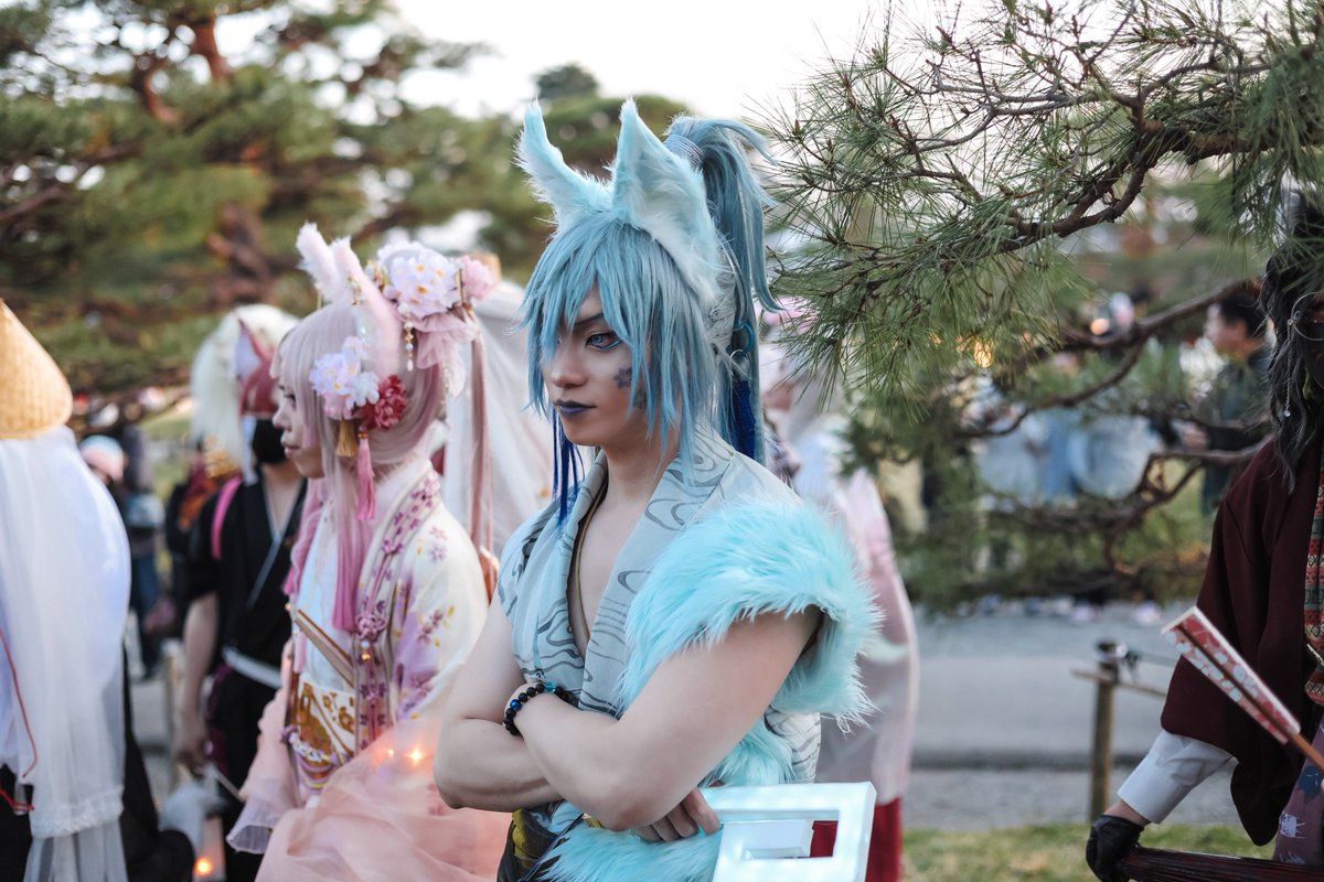 静波狐

　オイデの儀

撮影: すざり様(<a href="/suzari_purple/">すざり～紫</a> )
#會津白狐伝説 
#会津白狐伝説 
#会津若松