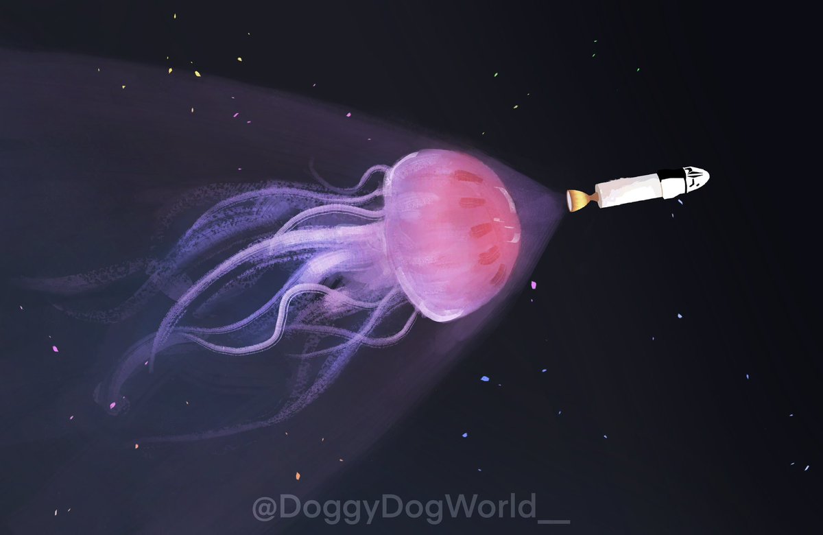 Is this that jellyfish effect everyone’s always talking about