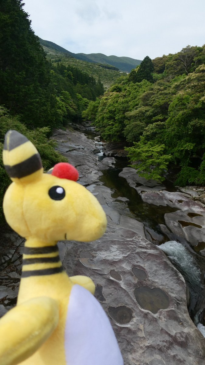 nagasaki_denryu's tweet image. 【デンリュウとお散歩⚡対馬編②】
こちらは「鮎もどし自然公園」の写真です!
川全体が天然の岩でおおわれているとても珍しい場所となっています!岩肌がなめらかで、夏は天然のウォータースライダーとして楽しむこともできます!
#デンリュウとお散歩
#対馬市