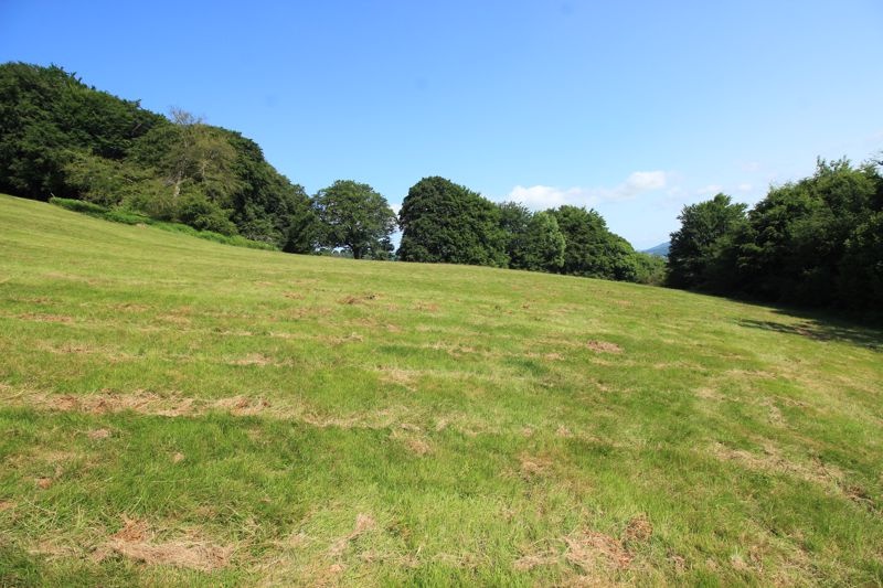 TalktoBowen's tweet photo. Land adjoining Craig yr Allt, Abergavenny - Offers in Excess £50,000. Rare chance to purchase block of upland pastureland of approx 9.09 acres. Host of upland grassland species &amp; native trees. Suitable for agricultural, equine &amp; amenity use https://t.co/IyyCSey1lG #land #wales https://t.co/NBvd9UxhC7