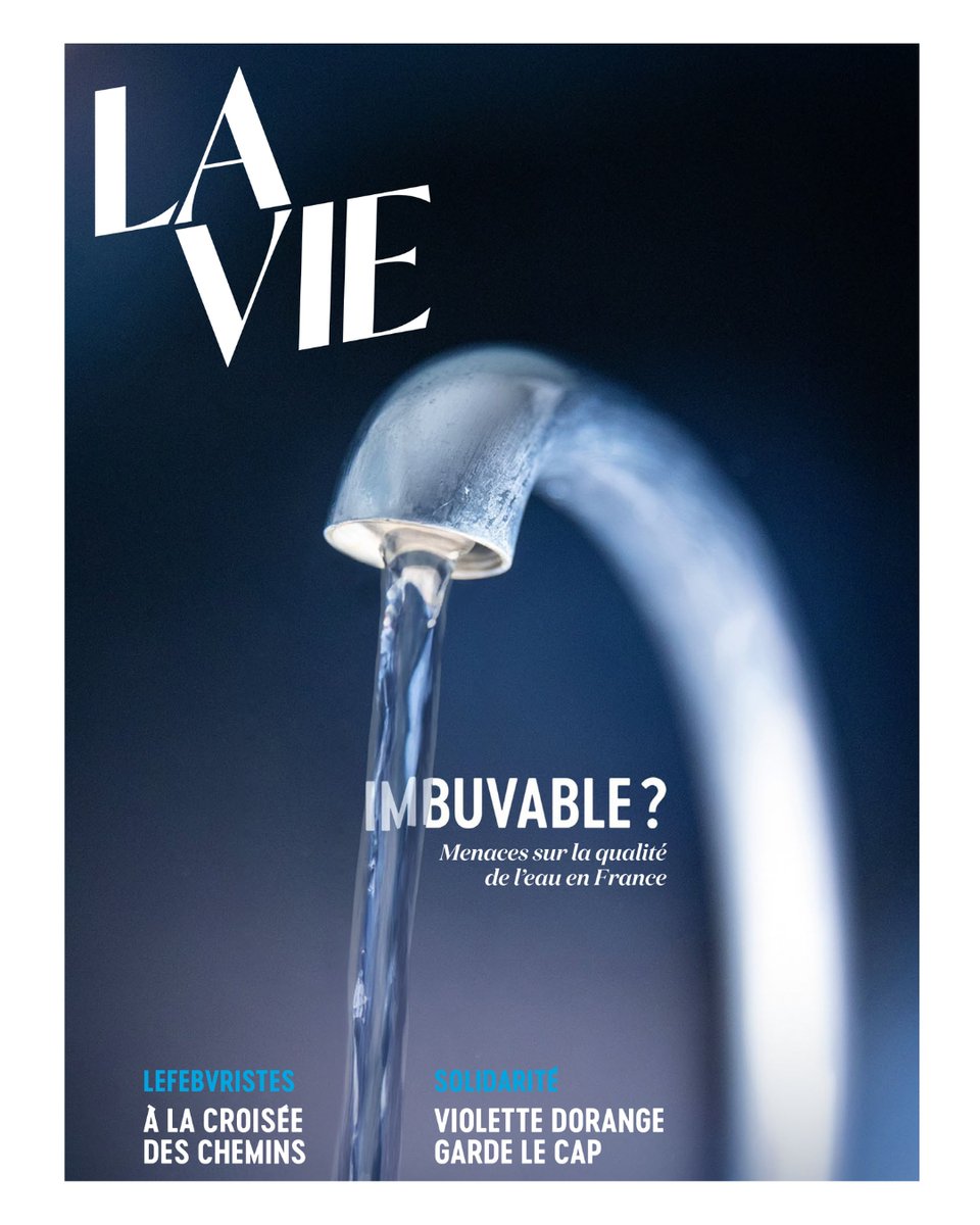 La Vie Média tweet media