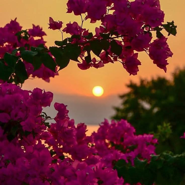 Of all the ways we have found to hurt ourselves, the worst has been through love.We are always suffering because Of someone who doesn't love us or someone who has left us or someone who won't leave us.
The Pilgrimage by Paulo Coelho