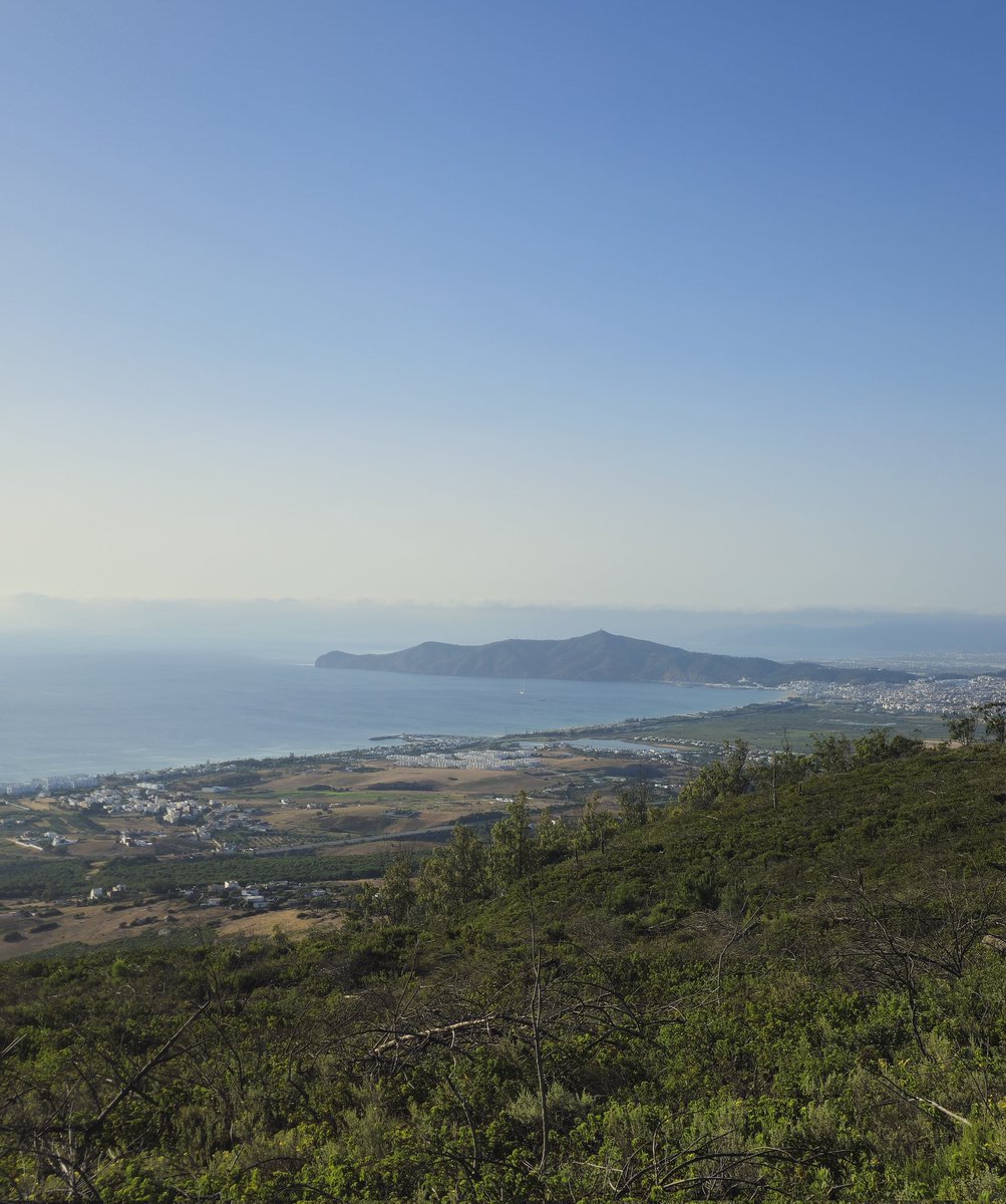 Reda_'s tweet photo. Petit tour du Jbel Zemzem...
12,01km D+455
#TrailViews #Hamdoullah #RunningInTétouane #TrailRunning https://t.co/9U1xOeaBOe