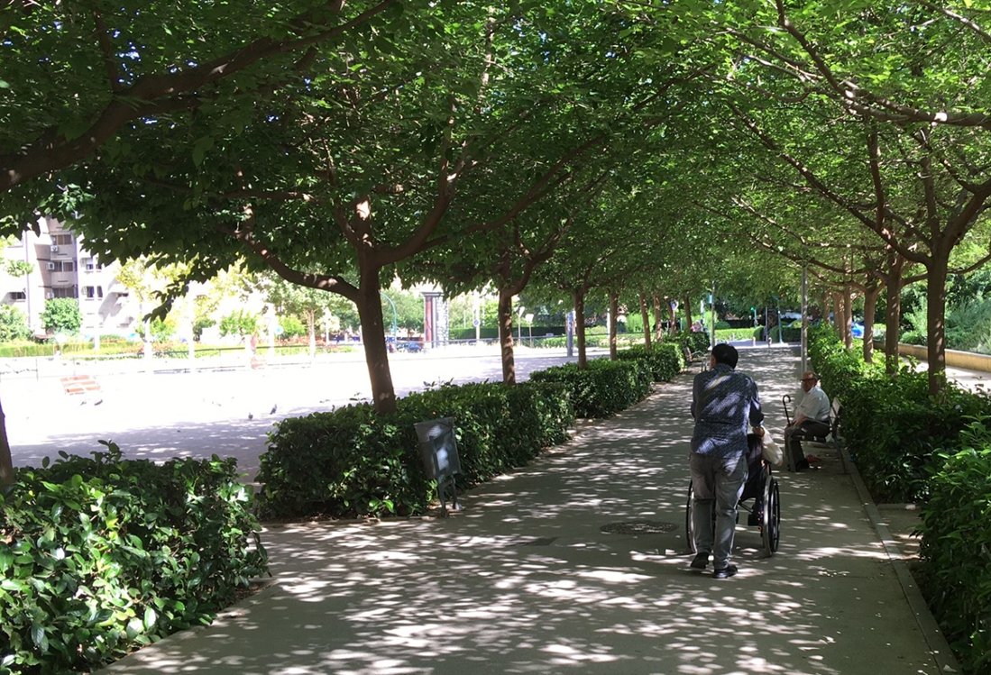No basta con aumentar la superficie de áreas verdes por habitante; es fundamental adaptar su tipología, calidad y acceso a vegetación arbórea para mejorar el confort térmico y la seguridad de las personas mayores  durante episodios de calor extremo doi.org/10.3390/urbans…