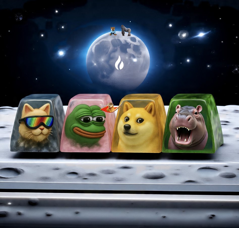 Which memecoin is moon bound? 🚀🌕