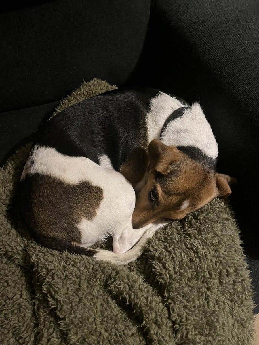 John Murdy 🎃 tweet media