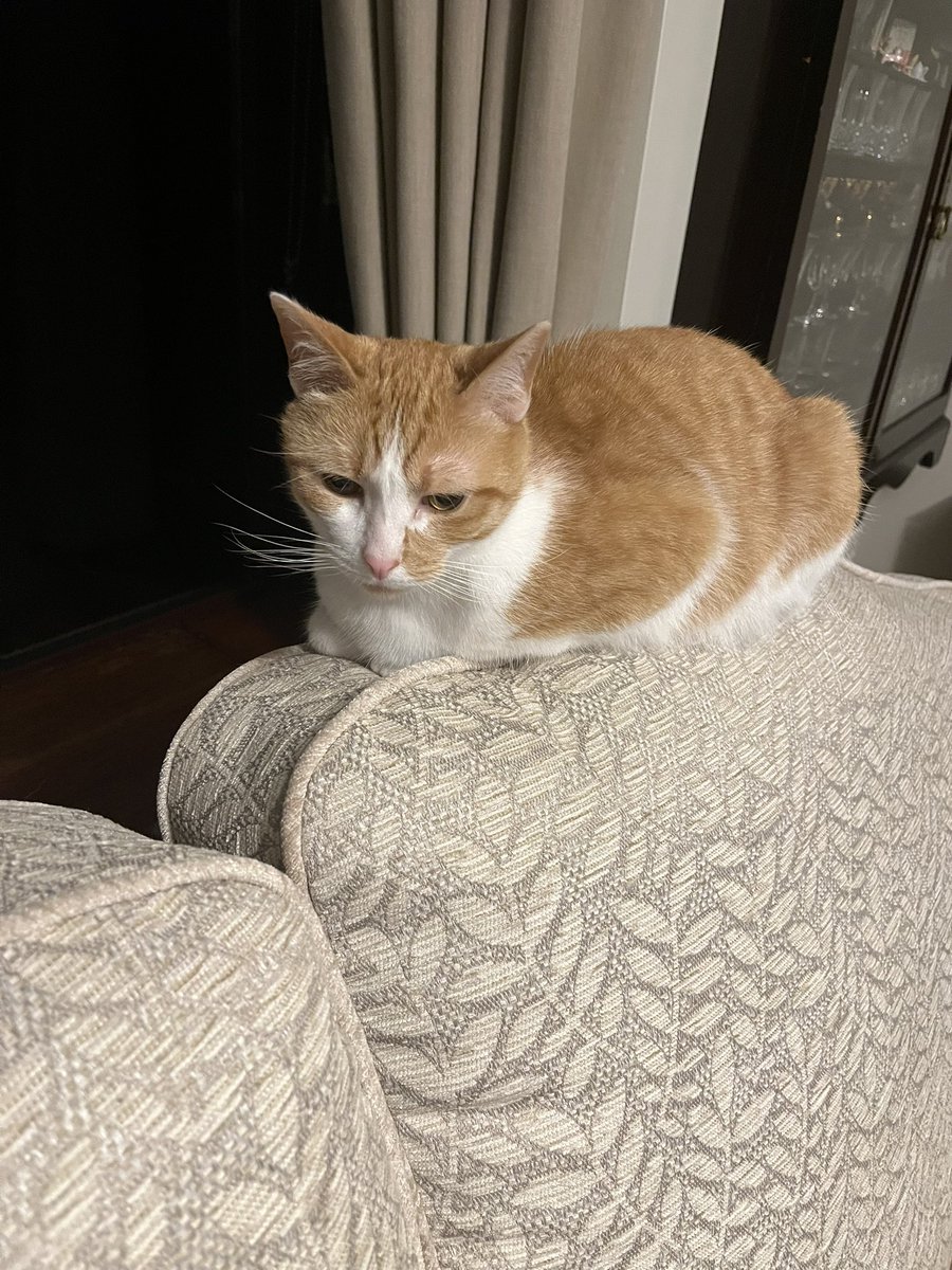 John Murdy 🎃 tweet media