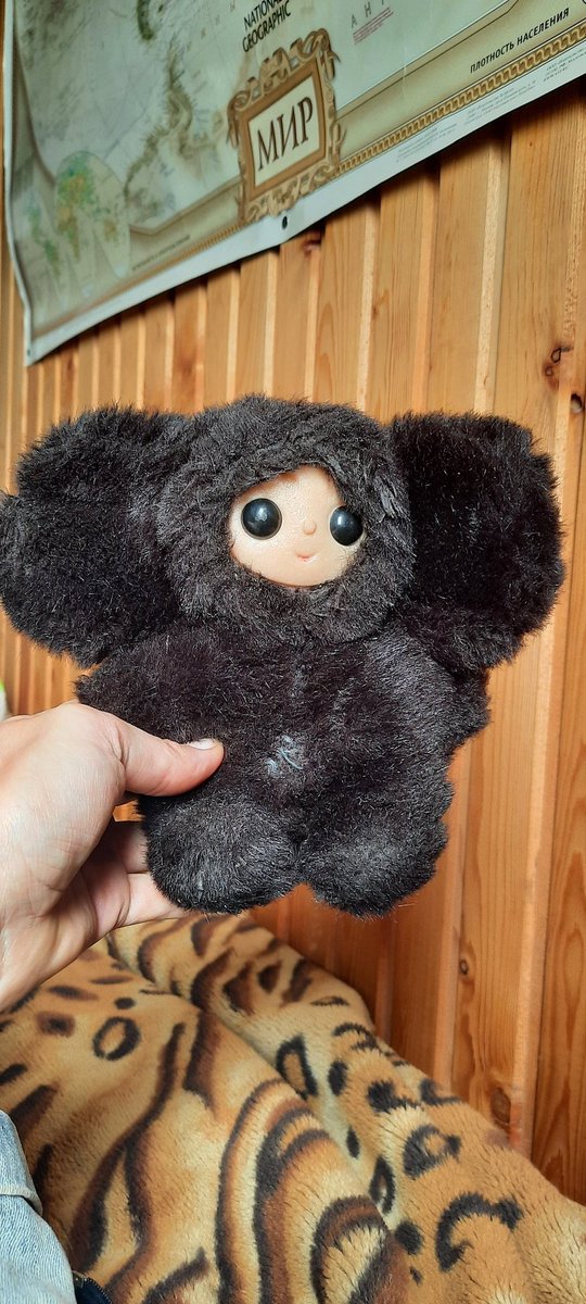 Моей лабубе 40 лет.