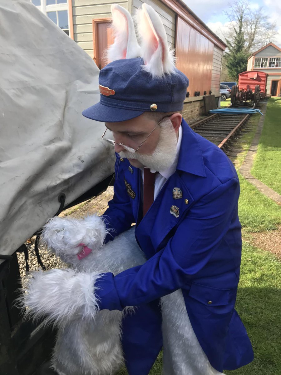 The Forest Railway Stories tweet media