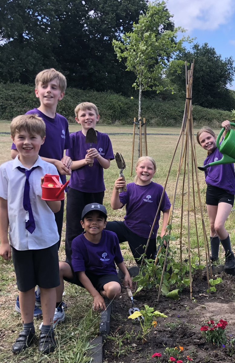WCPSFarnham's tweet image. The gardening club have been busy this term and are very pleased with the results. They have planted sunflowers, pumpkins, lettuces and tomatoes amongst other things. They have also created a new wild flower area.
