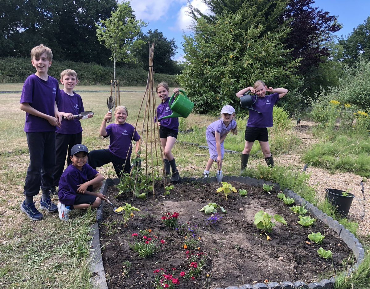 WCPSFarnham's tweet image. The gardening club have been busy this term and are very pleased with the results. They have planted sunflowers, pumpkins, lettuces and tomatoes amongst other things. They have also created a new wild flower area.