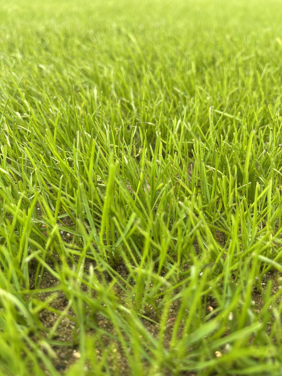 They grow up so fast 👨🏻‍🍼