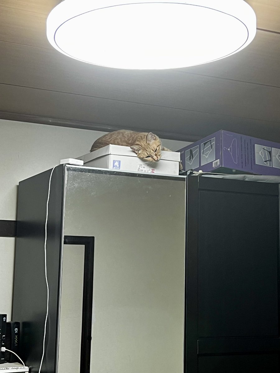 レッツノートが逝ってしまったので・・
新しいモバイルPC
嬉しい🤗
#LenovoYogaSlim770iCarbon