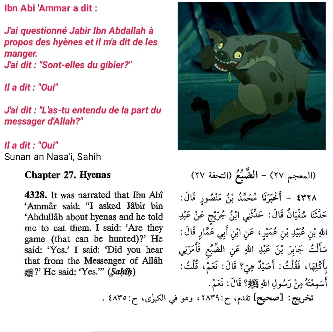 AbouQalypse's tweet photo. "Le prophète a interdit de manger tout prédateur qui a des crocs" ("Sunan Nasa'i 4329)

Mais le prophète a aussi dit qu'il y a le droit de manger de la hyène en barbecue.
Parce que l'islam c'est incohérent mais ça au moins le mérite d'être surprenant. https://t.co/UU3gkVM4OL