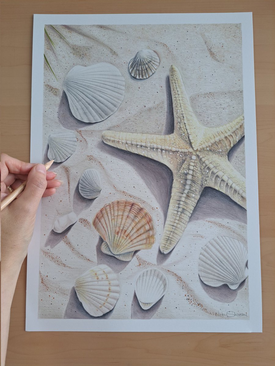 Playing around with shells 😁