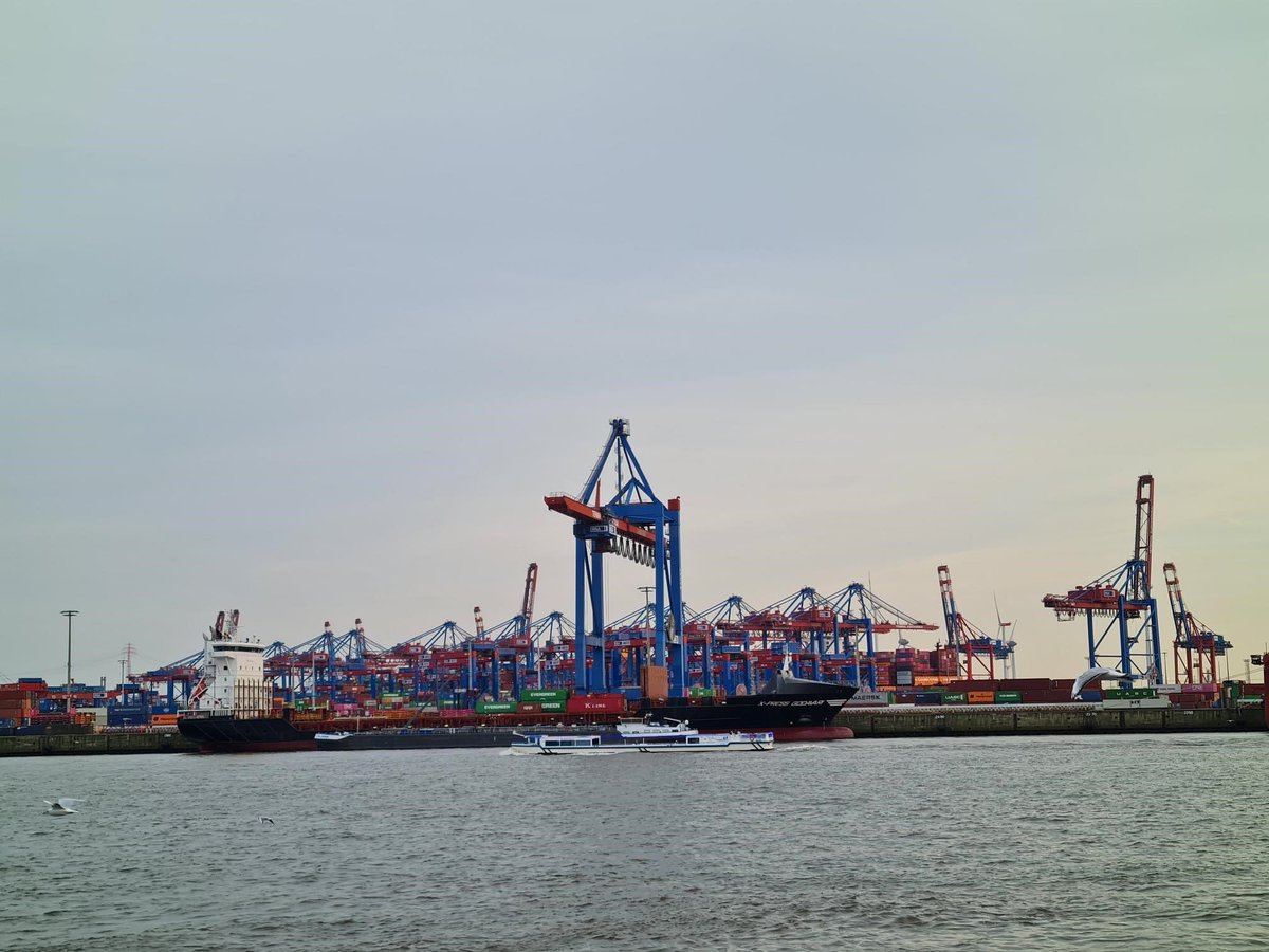 Green Marine tweet media