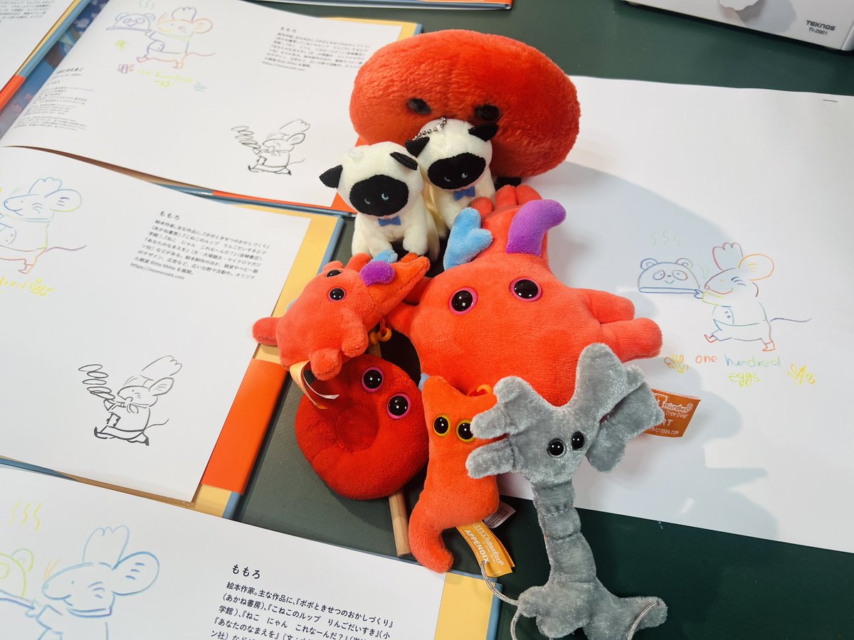今回はカラフル色鉛筆でのパンダ笹塚バージョンで #100このたまご サイン本作らせてもらっています。是非是非ゲットしてください☺️
書店員さんがお迎えくださったシャムちゃんと双子ショット📷(➕かわいい人体シリーズぬい🩷) 