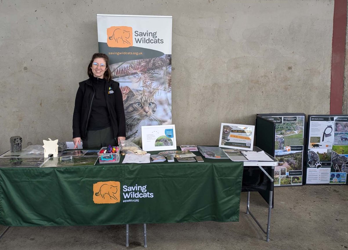 SaveOurWildcats's tweet image. Earlier this month, the team were thrilled to attend Cairngorms Crofters and Farmers' Open Farm Sunday at @Rothiemurchus Farm 🐮
The community came out in force to show support for Scotland's farmers, and it was wonderful to share how farmland habitat is supporting wildcats 🐾