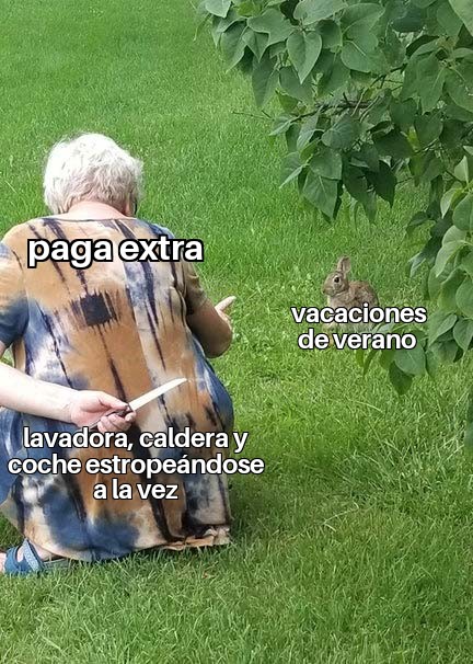 Ana_LaPatata tweet media