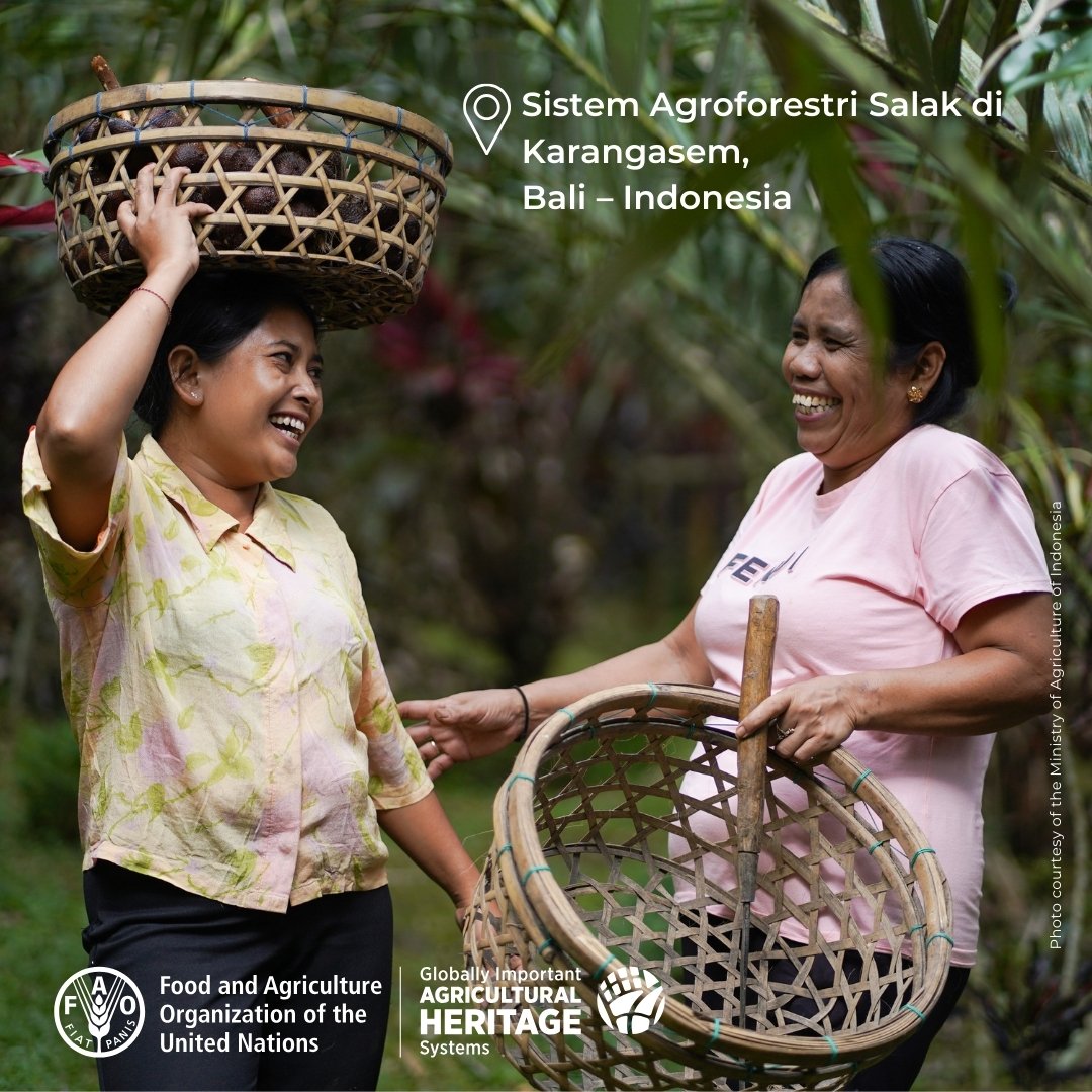 📺 Don’t miss <a href="/ChannelNewsAsia/">CNA</a> tonight at 8:30 pm Jakarta time!

Explore the Karangasem agroforestry system, Indonesia’s first Globally Important Agricultural Heritage System (#GIAHS) 🇮🇩

🔗 Watch live on YouTube: bit.ly/4lgnbTI
Or stream here: channelnewsasia.com/watch